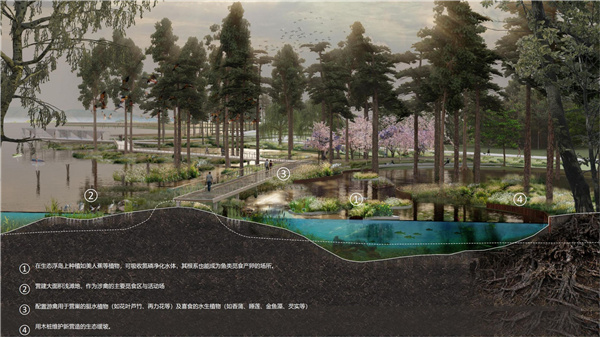 園冶杯參賽作品丨武漢中法半島小鎮(zhèn)生態(tài)修復(fù)規(guī)劃設(shè)計(jì)