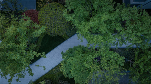 園冶杯參賽作品丨西安·中海寰宇天下