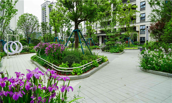 園冶杯參賽作品丨金地翡翠星辰一期景觀花境工程