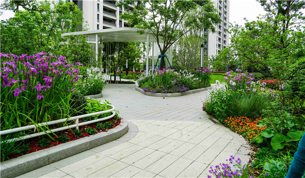 園冶杯參賽作品丨金地翡翠星辰一期景觀花境工程