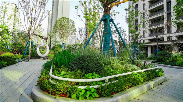 園冶杯參賽作品丨金地翡翠星辰一期景觀花境工程