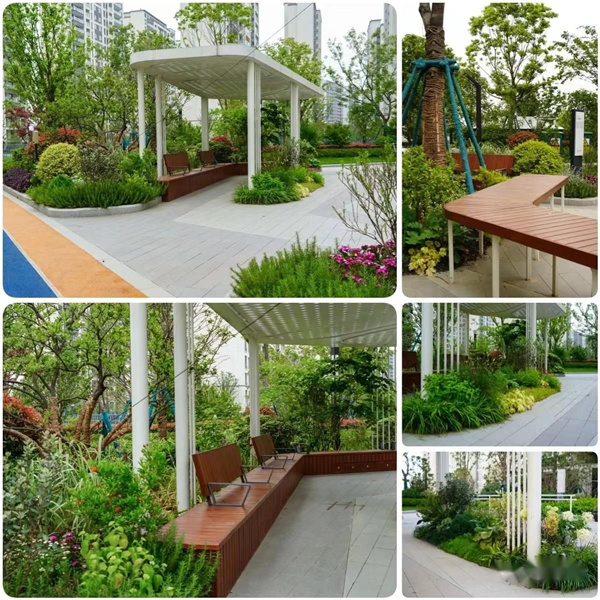 園冶杯參賽作品丨金地翡翠星辰一期景觀花境工程