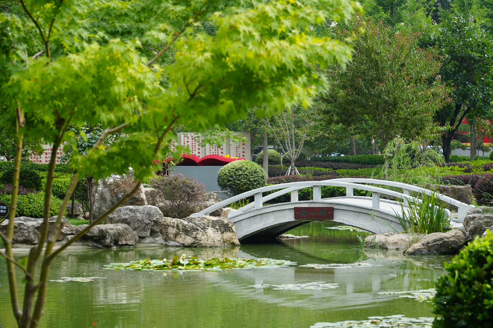 園冶杯參賽作品丨臨沂市蘭山區委黨校