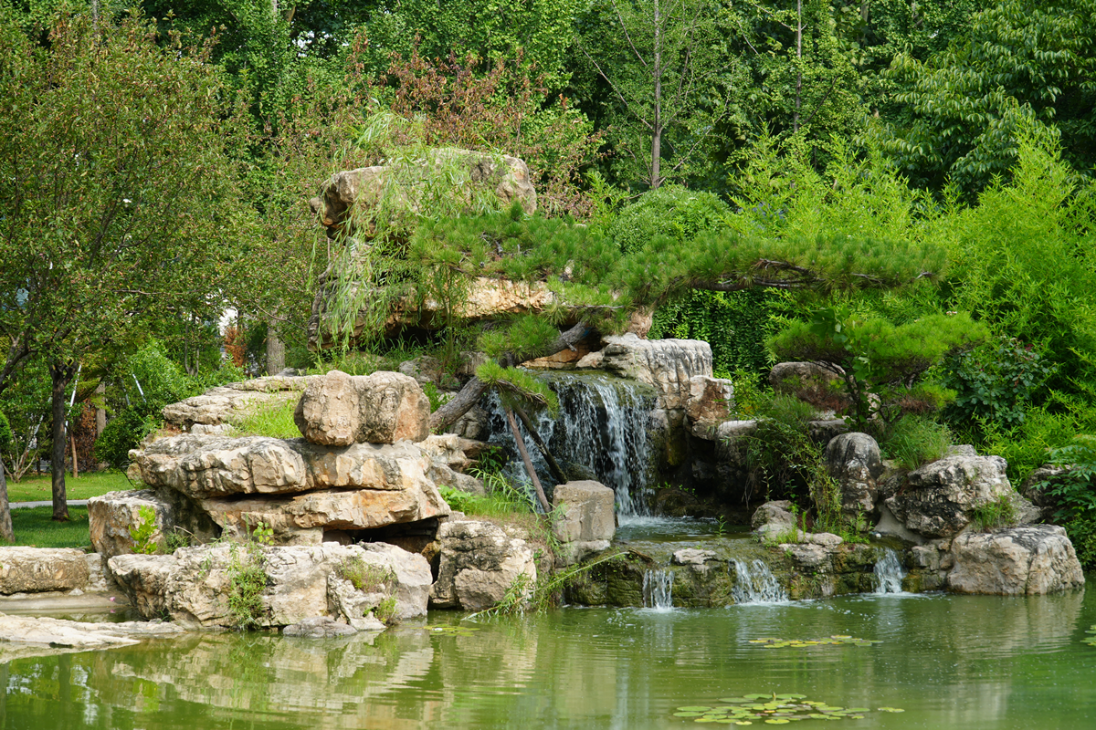 園冶杯參賽作品丨臨沂市蘭山區委黨校