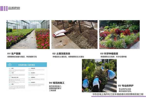 園冶杯參賽作品丨金地新樂里項目景觀花境工程