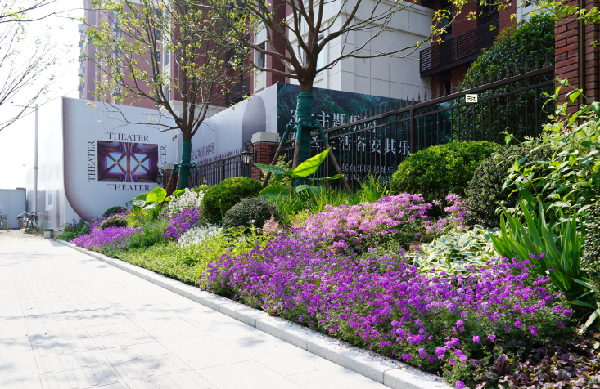 園冶杯參賽作品丨金地新樂里項目景觀花境工程