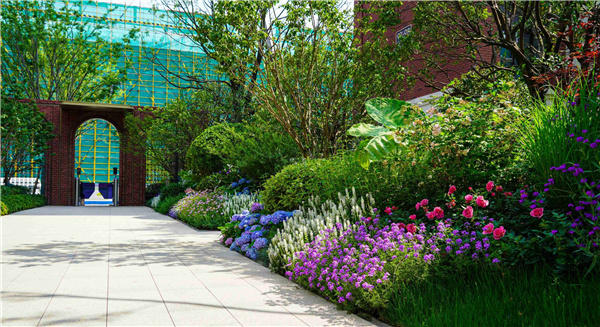 園冶杯參賽作品丨金地新樂里項目景觀花境工程