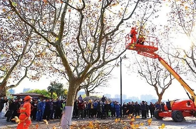 “一把大剪刀走天下”，園林綠化如何吸引更多年輕人？