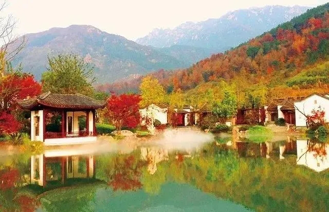 “一把大剪刀走天下”，園林綠化如何吸引更多年輕人？