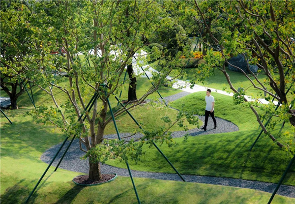 文科園林丨都市新 “森” 活——佛山城發·悅城峯境