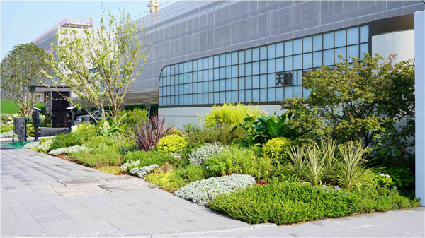 園冶杯參賽作品丨吳江WJ-J-2022-001號地塊項目 展示區花境工程