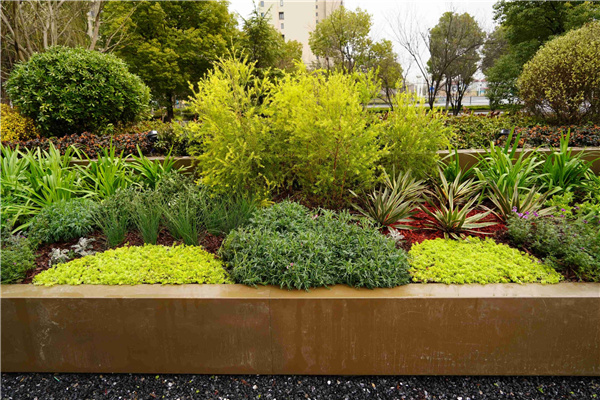 園冶杯參賽作品丨吳江WJ-J-2022-001號地塊項目 展示區花境工程