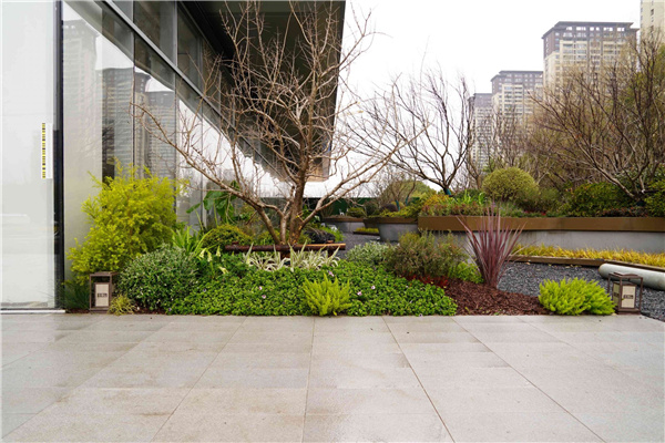 園冶杯參賽作品丨吳江WJ-J-2022-001號地塊項目 展示區花境工程