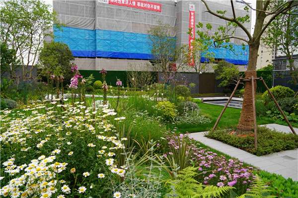 園冶杯參賽作品丨吳江WJ-J-2022-001號地塊項目 展示區花境工程