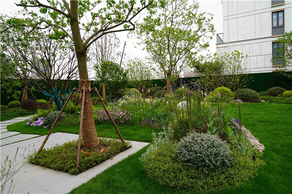 園冶杯參賽作品丨吳江WJ-J-2022-001號地塊項目 展示區花境工程