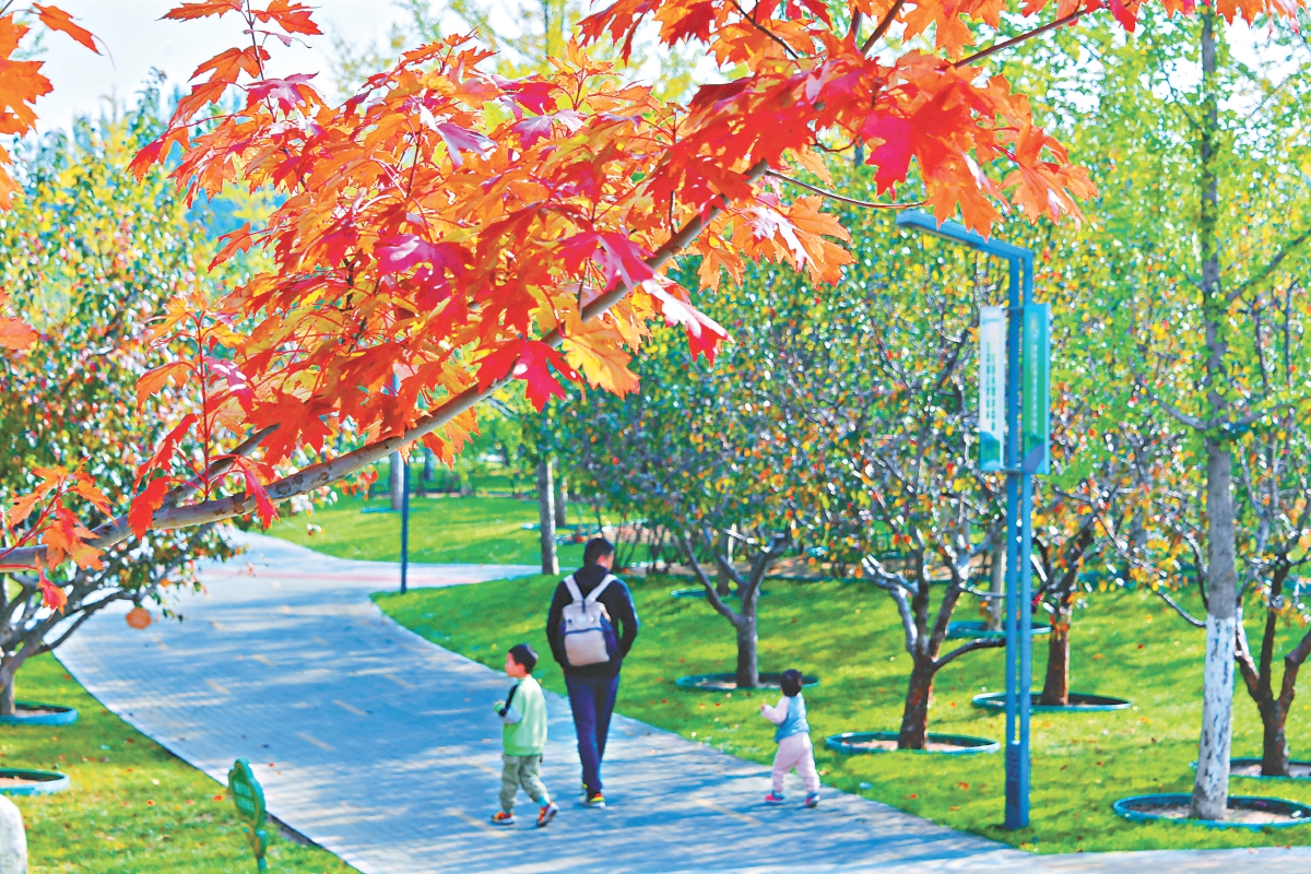 全國首個碳循環公園落地北京城市副中心