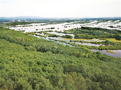 珍寶島探尋濕地保護科學路徑