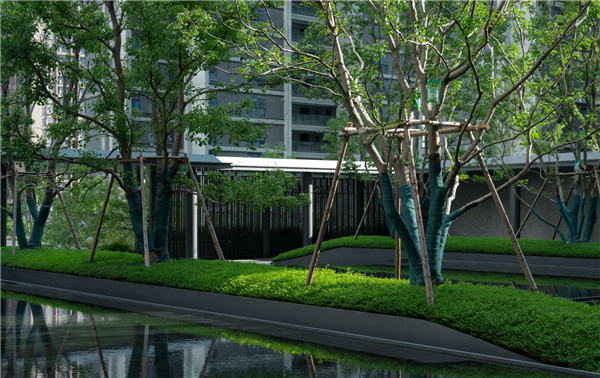 園冶杯參賽作品丨昆明中交錦瀾府