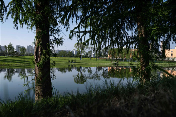 無錫太湖流域小溪港魚咀公園