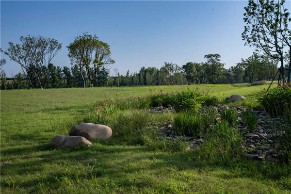 無錫太湖流域小溪港魚咀公園