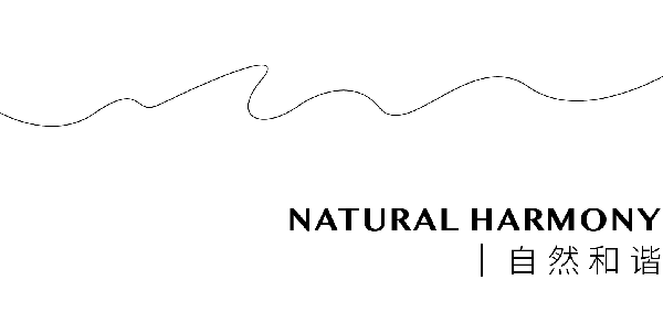 RAY-DESIGN2021中南君啟|趣味·自然·和諧