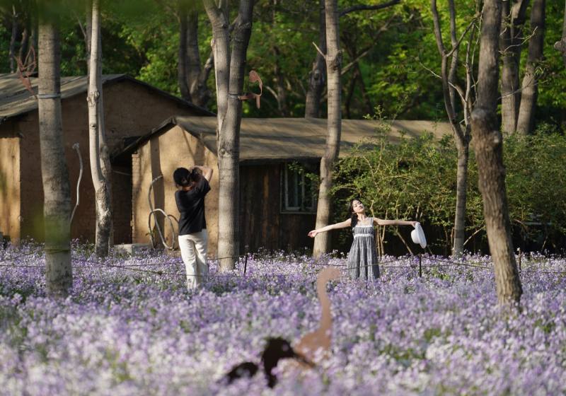 北京綠隔公園請來風(fēng)景園林師幫公園補(bǔ)短板塑品牌