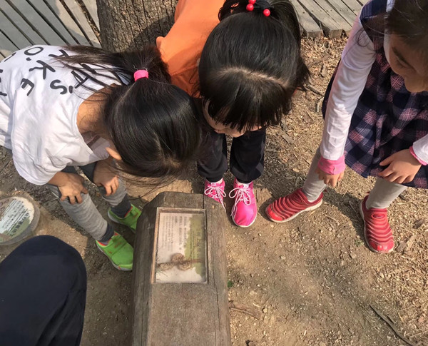 京都風景助力北京生態文明發展建設的十年