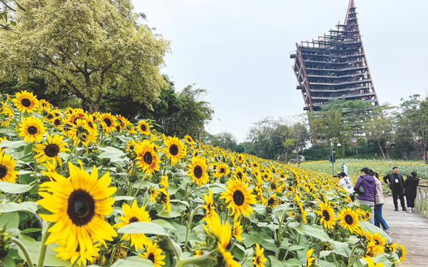 南寧園博園推出浪漫國風“飄雪”活動