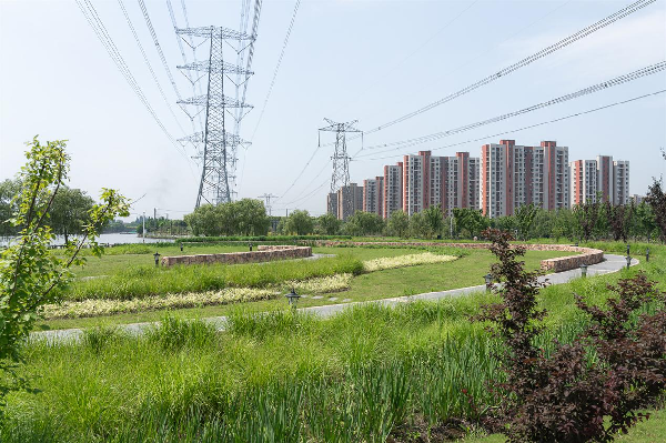 慢行系統——城市的毛細血管如何設計？