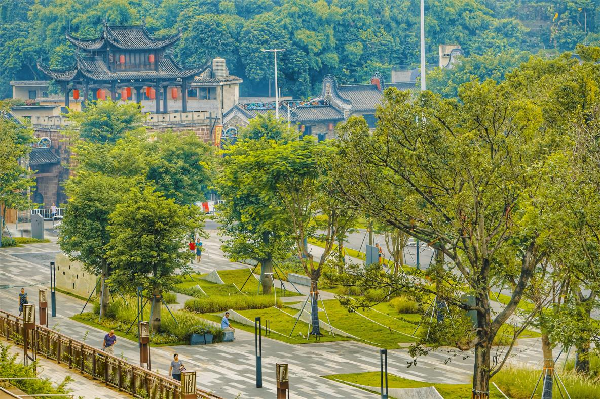 慢行系統——城市的毛細血管如何設計？