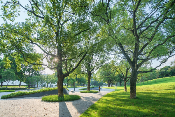 慢行系統——城市的毛細血管如何設計？