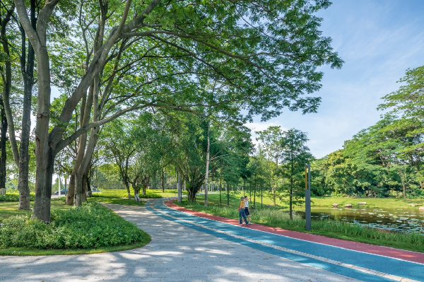 慢行系統——城市的毛細血管如何設計？