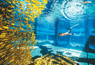 旅游新玩法：追求“體驗感”“參與感”