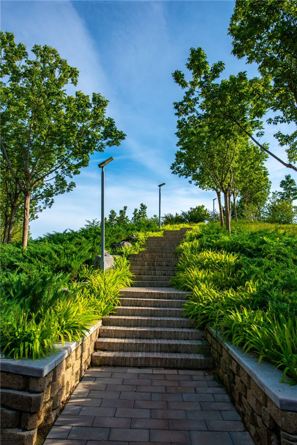 園冶杯獲獎作品丨桃李園