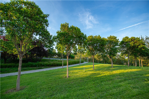 園冶杯獲獎作品丨桃李園