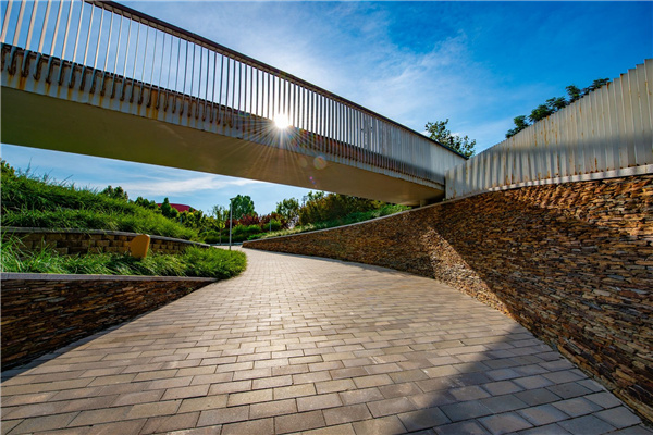 園冶杯獲獎作品丨桃李園