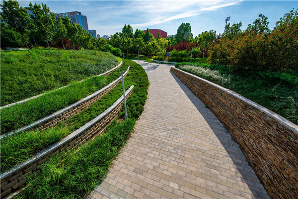 園冶杯獲獎作品丨桃李園