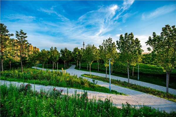 園冶杯獲獎作品丨桃李園