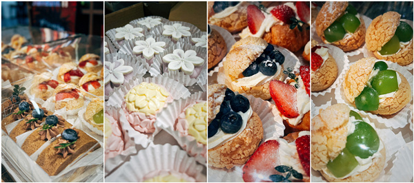 源樹國際2023-2024年度學術交流會舉辦