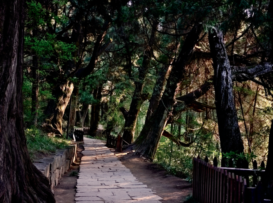 文物保護利用視角下的文化景觀設計