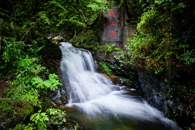 浙江：以國家公園為中心 讓教育回歸自然