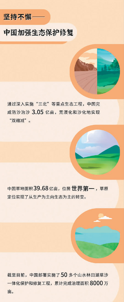 自然恢復與人工修復如何相輔相成