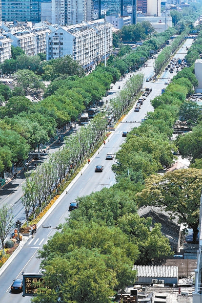 長安街以北“兩縱兩橫”林蔭大道將亮相