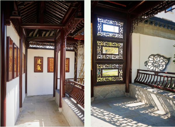 費家浜:特色田園鄉(xiāng)村建設(shè)讓無垠星空映照廣闊鄉(xiāng)村