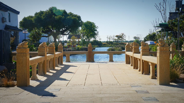 費家浜:特色田園鄉(xiāng)村建設(shè)讓無垠星空映照廣闊鄉(xiāng)村