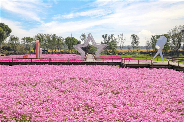費家浜:特色田園鄉(xiāng)村建設(shè)讓無垠星空映照廣闊鄉(xiāng)村