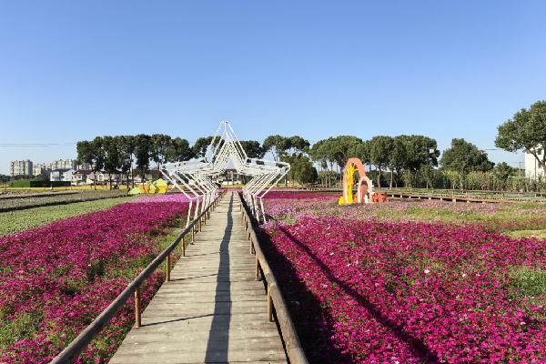 費家浜:特色田園鄉(xiāng)村建設(shè)讓無垠星空映照廣闊鄉(xiāng)村