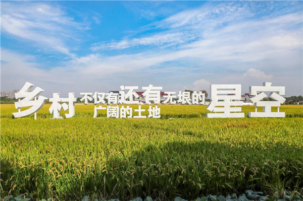 費家浜:特色田園鄉(xiāng)村建設(shè)讓無垠星空映照廣闊鄉(xiāng)村