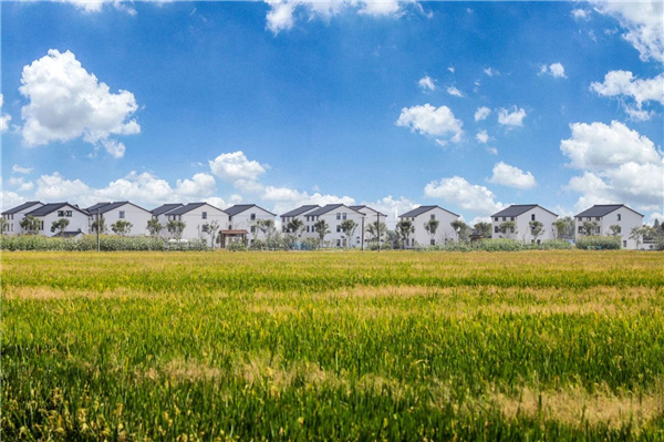 費家浜:特色田園鄉(xiāng)村建設(shè)讓無垠星空映照廣闊鄉(xiāng)村