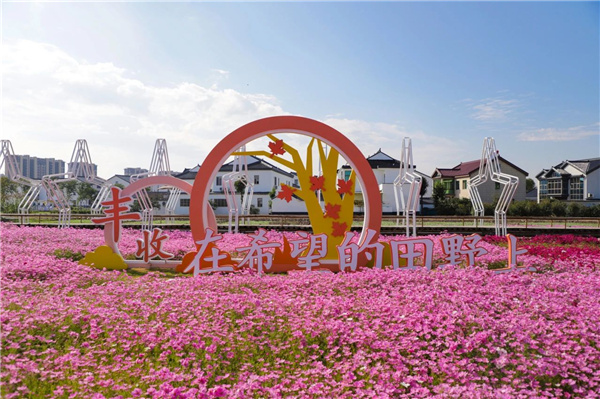 費家浜:特色田園鄉(xiāng)村建設(shè)讓無垠星空映照廣闊鄉(xiāng)村